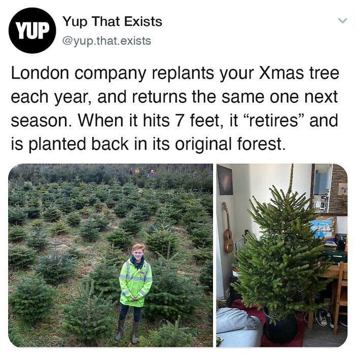 Things-Never-Knew-Existed-Posts