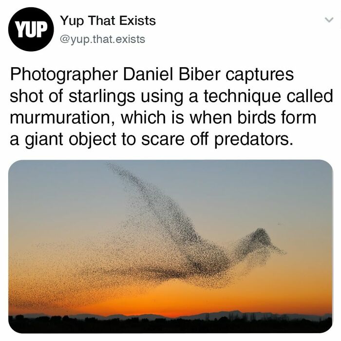 Things-Never-Knew-Existed-Posts