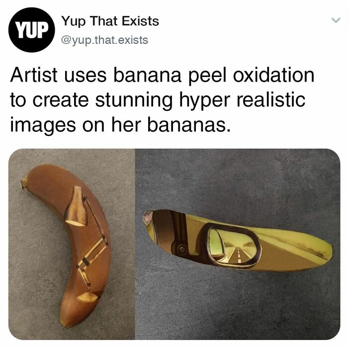 Things-Never-Knew-Existed-Posts