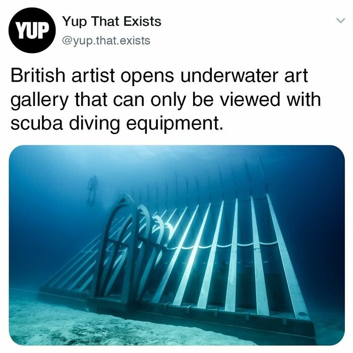 Things-Never-Knew-Existed-Posts