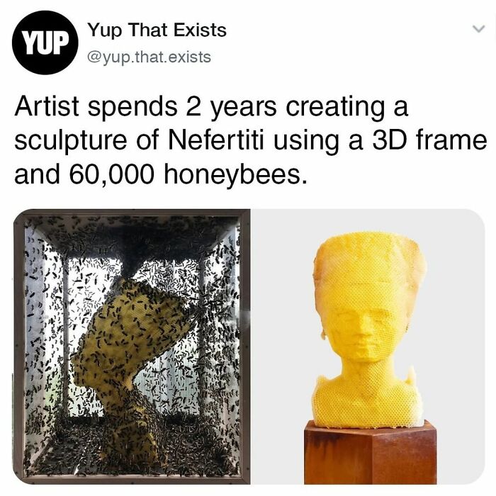 Things-Never-Knew-Existed-Posts