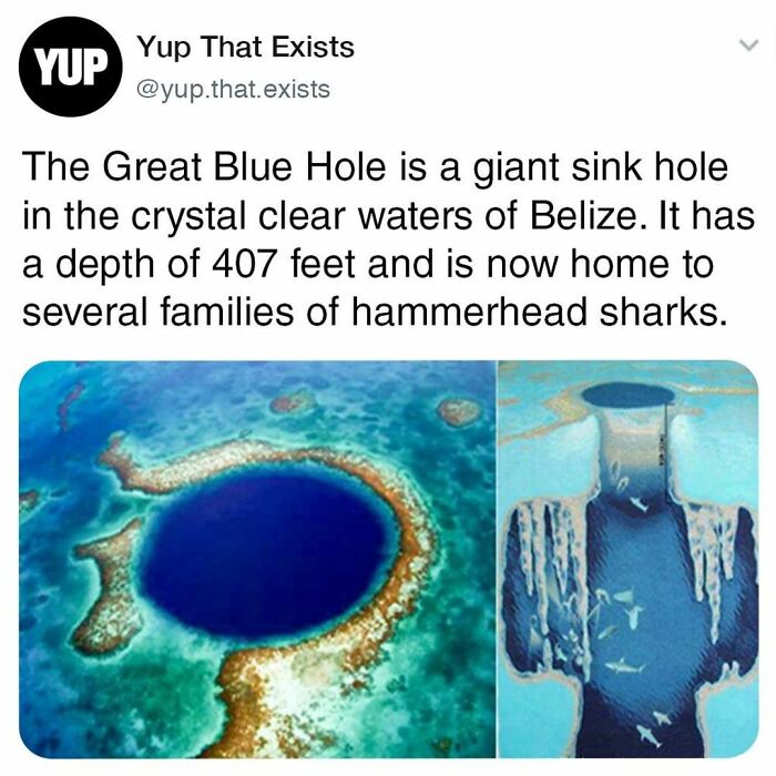 Things-Never-Knew-Existed-Posts