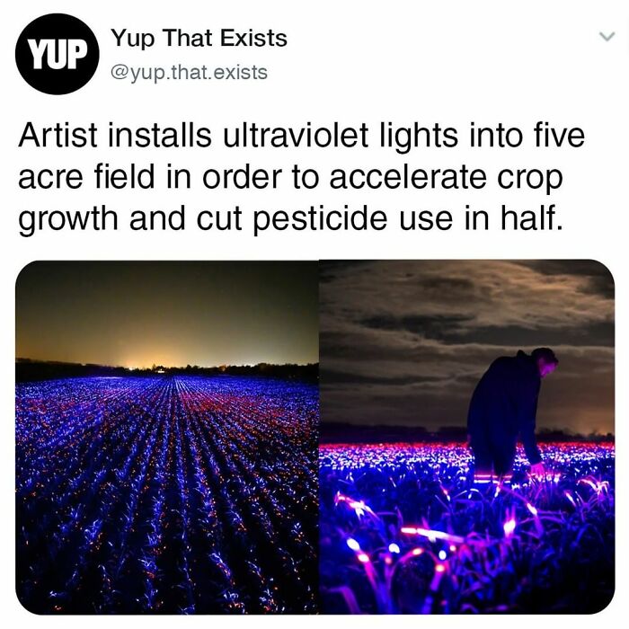 Things-Never-Knew-Existed-Posts