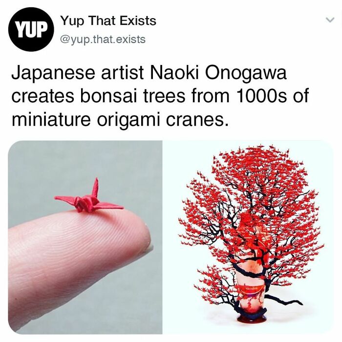 Things-Never-Knew-Existed-Posts