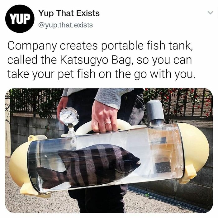 Things-Never-Knew-Existed-Posts