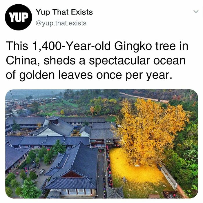 Things-Never-Knew-Existed-Posts