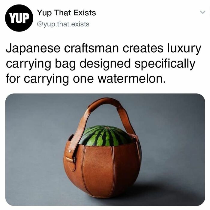 Things-Never-Knew-Existed-Posts