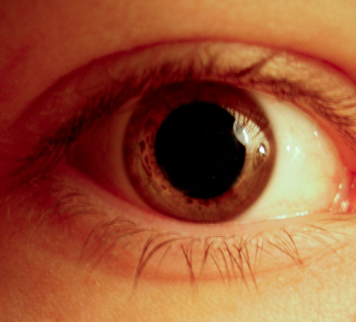 20 Teorías conspiracionistas que a la gente le resultan "demasiado lógicas como para ignorarlas"