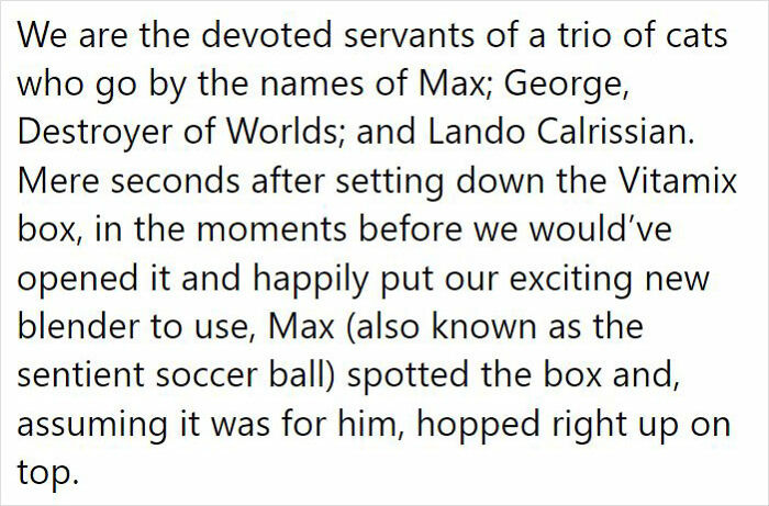 After 2.5-Week &lsquo;War&rsquo; With 3 Cats, Woman Contacts Vitamix Asking For Empty Boxes To Replace The One Her Cats Took Over With New Blender Inside