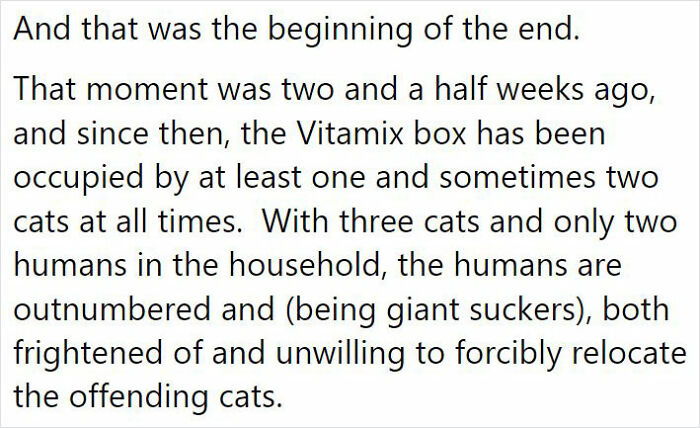 After 2.5-Week &lsquo;War&rsquo; With 3 Cats, Woman Contacts Vitamix Asking For Empty Boxes To Replace The One Her Cats Took Over With New Blender Inside