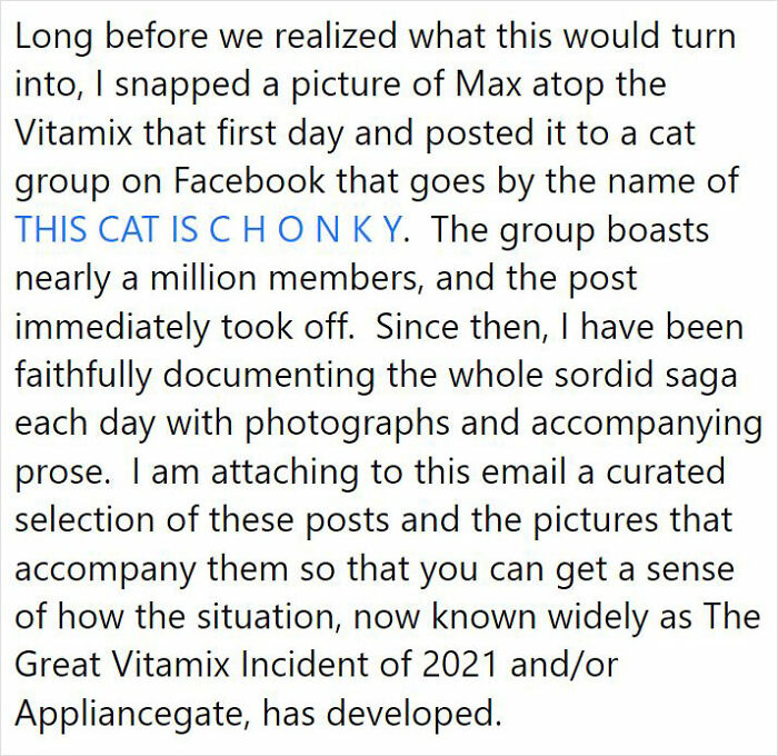 After 2.5-Week &lsquo;War&rsquo; With 3 Cats, Woman Contacts Vitamix Asking For Empty Boxes To Replace The One Her Cats Took Over With New Blender Inside