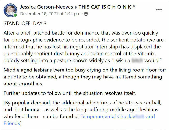 After 2.5-Week &lsquo;War&rsquo; With 3 Cats, Woman Contacts Vitamix Asking For Empty Boxes To Replace The One Her Cats Took Over With New Blender Inside