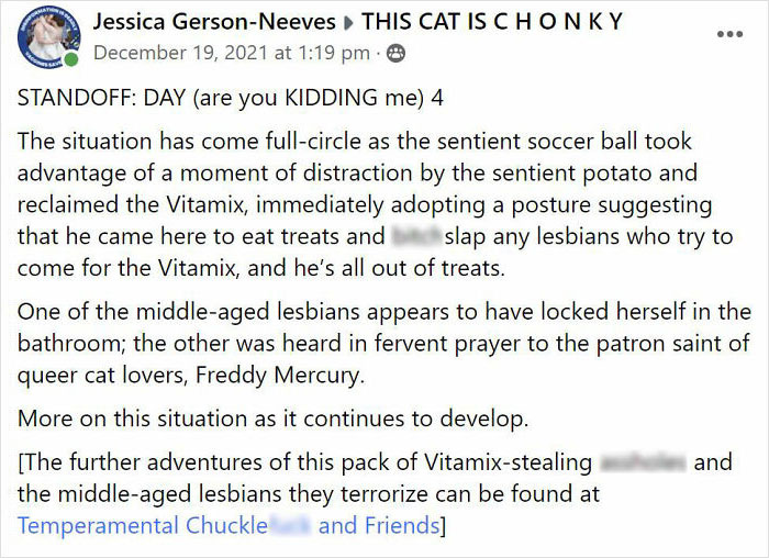 After 2.5-Week &lsquo;War&rsquo; With 3 Cats, Woman Contacts Vitamix Asking For Empty Boxes To Replace The One Her Cats Took Over With New Blender Inside