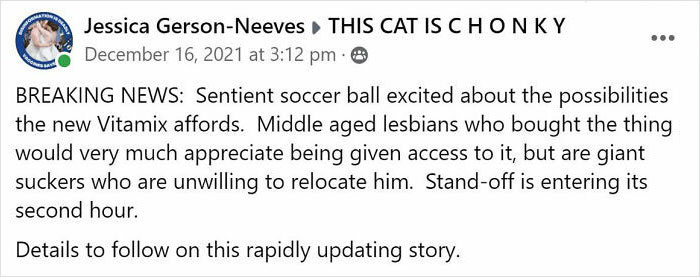 After 2.5-Week &lsquo;War&rsquo; With 3 Cats, Woman Contacts Vitamix Asking For Empty Boxes To Replace The One Her Cats Took Over With New Blender Inside