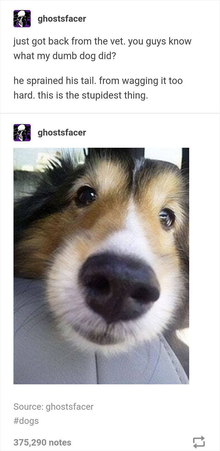 Blessed_happines Overdose