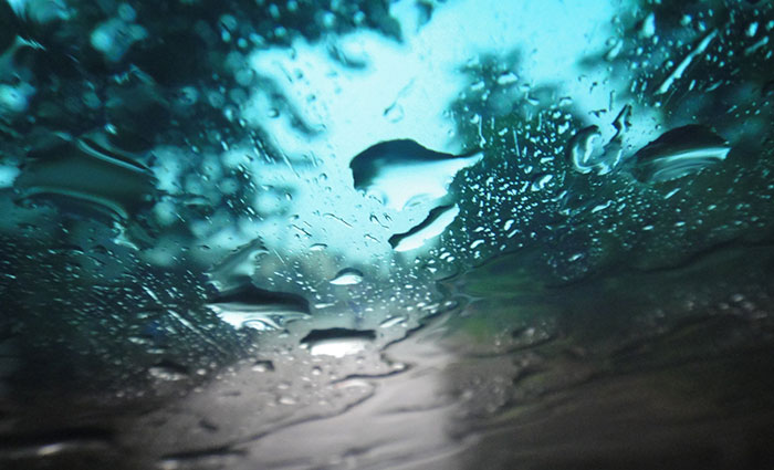 30 Common Survival Myths That Are Actually Dangerous