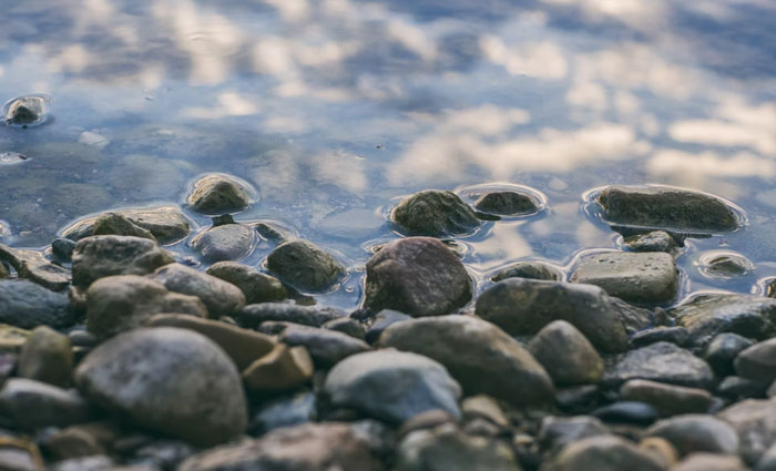 30 Common Survival Myths That Are Actually Dangerous