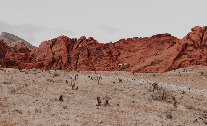 30 Common Survival Myths That Are Actually Dangerous