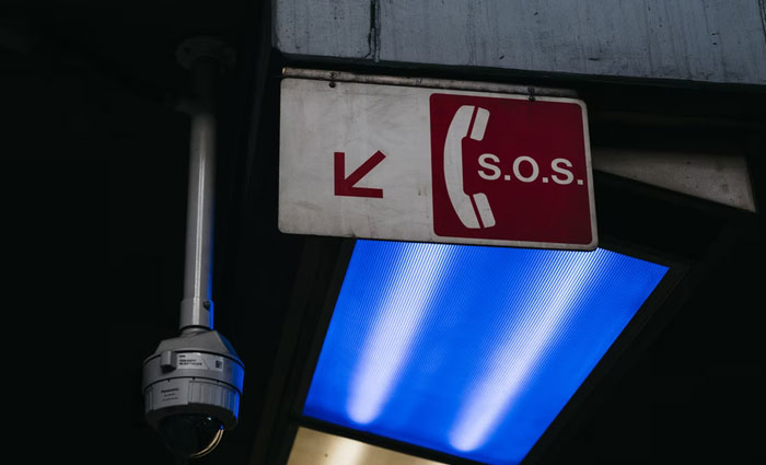 30 Common Survival Myths That Are Actually Dangerous