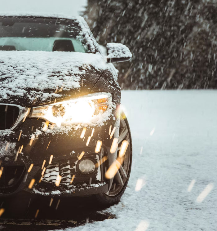 30 Common Survival Myths That Are Actually Dangerous