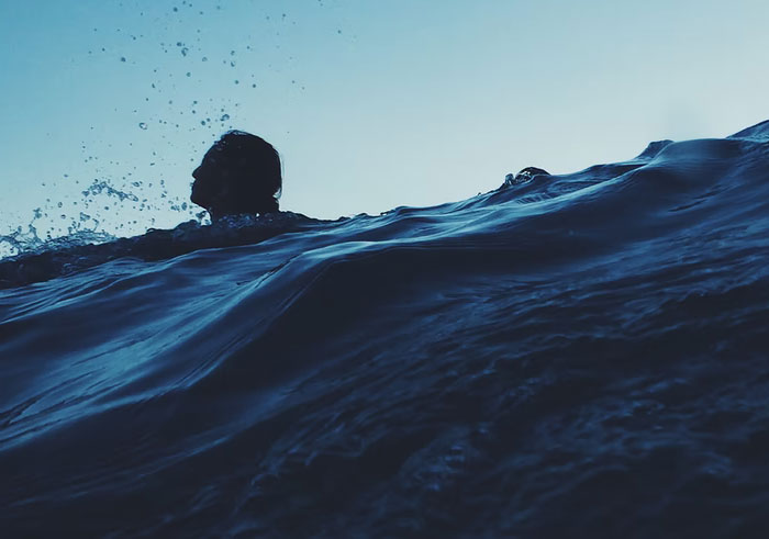 30 Common Survival Myths That Are Actually Dangerous