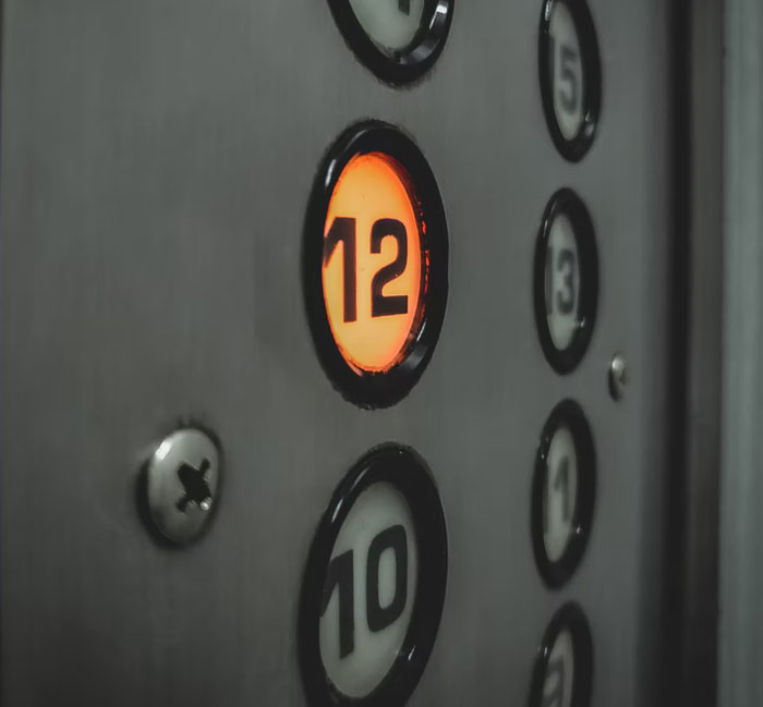 30 Common Survival Myths That Are Actually Dangerous