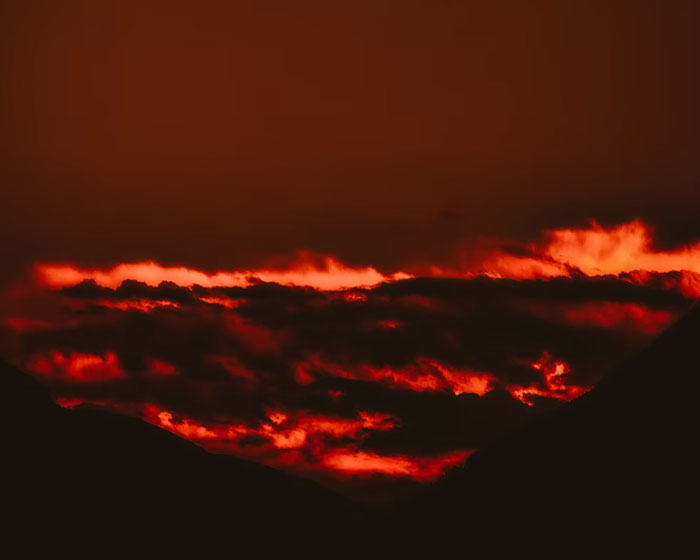 30 Common Survival Myths That Are Actually Dangerous