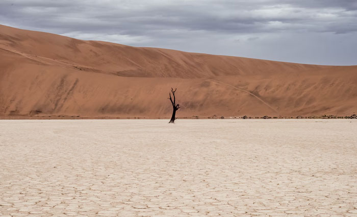 30 Common Survival Myths That Are Actually Dangerous