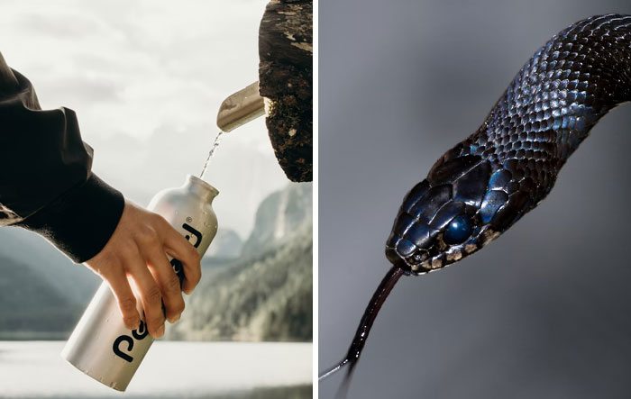 20 Mitos comunes sobre supervivencia que son realmente peligrosos