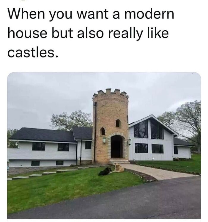 This Is So Atrocious That I Just Realized There Are Two Dogs In The Front Yard