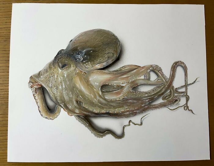 30 Drawings By This Japanese Artist That Look Like Optical Illusions