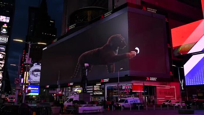 Giant Hyper-Realistic 3D Tiger Billboard Appears In World&rsquo;s Biggest Metropolises, Mesmerizes The Passersby