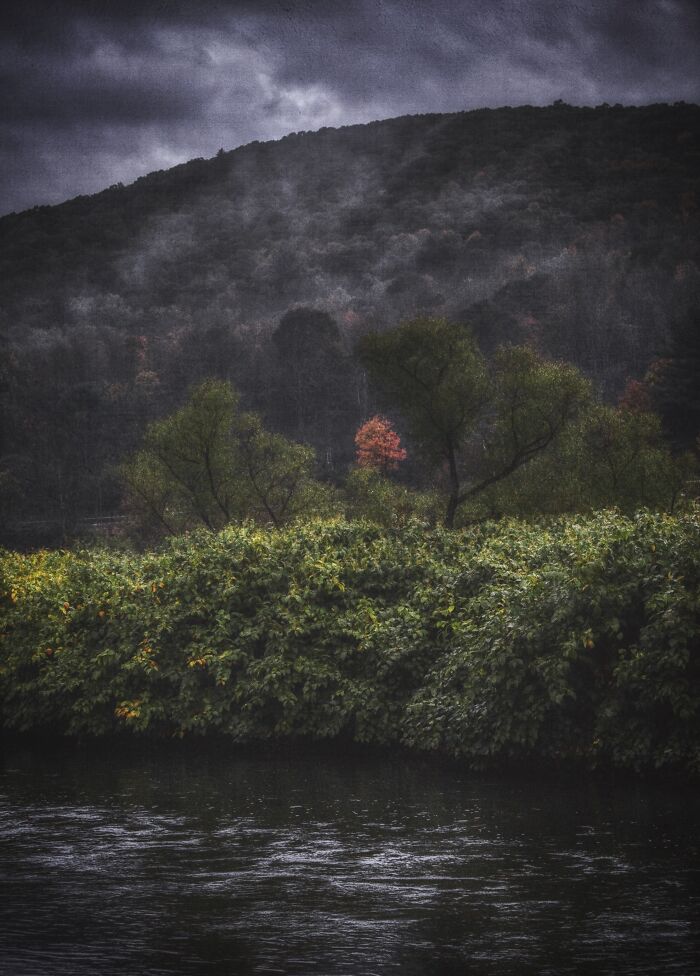Early Morning, West Branch Of The Delaware River, Foothills Of The Catskills, Early Autumn.