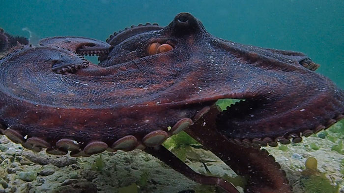 50 New ‘Today I Learned’ Facts That Prove It’s Never Too Late To Learn Something New