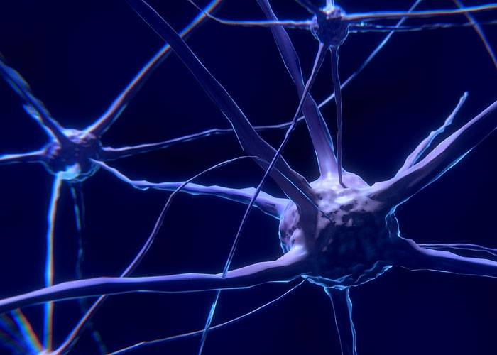 'What Is A Scientific Fact That Absolutely Blows Your Mind?': People Share 35 Incredible Facts About Our World