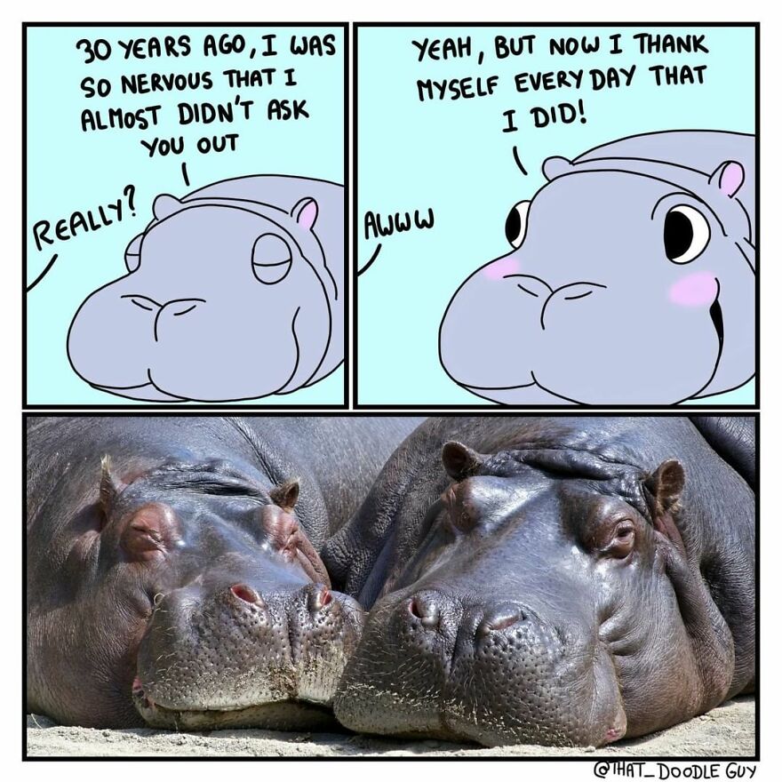10 Wholesome Animal Comics About Love That Will Make Your Valentine's Day