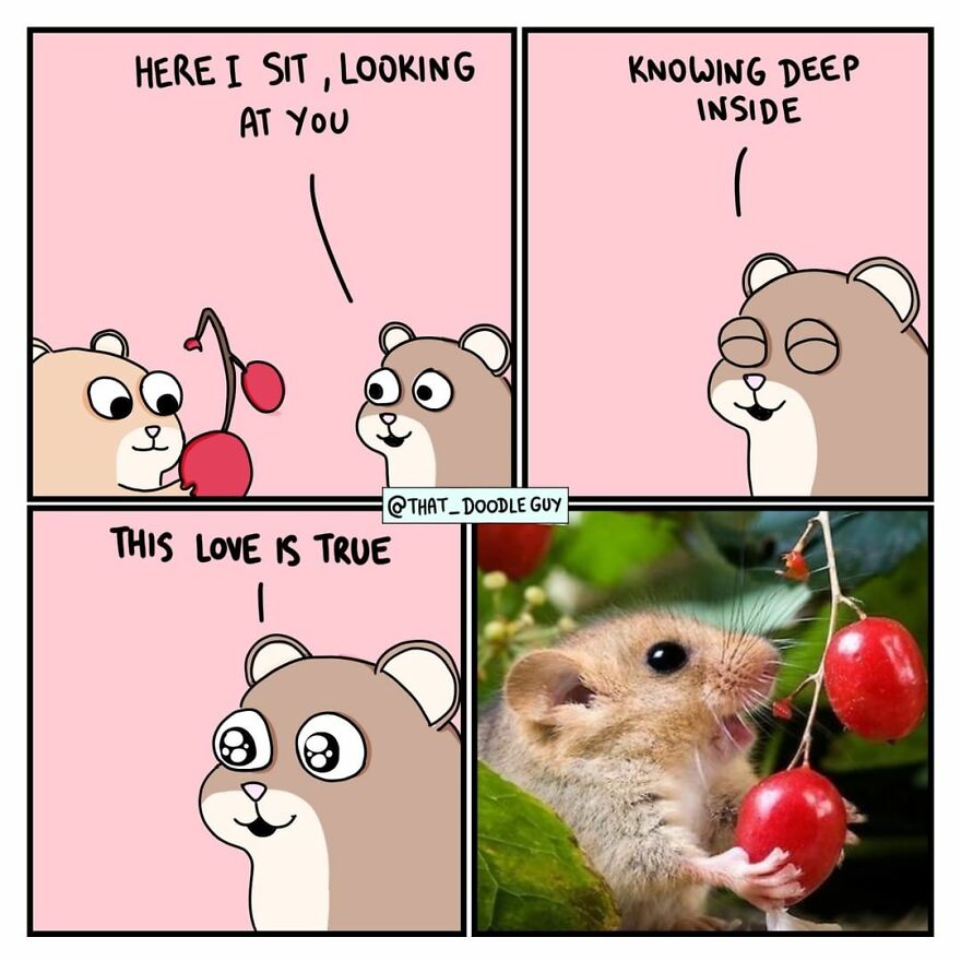 10 Wholesome Animal Comics About Love That Will Make Your Valentine's Day