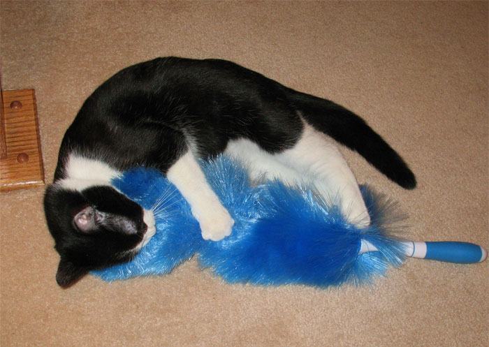 15 Personas notando que "algo anda muy mal aquí" y resultó ser cierto