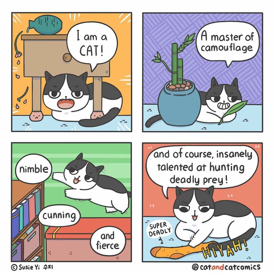 My 23 Wholesome Comics About A Cat And His Human