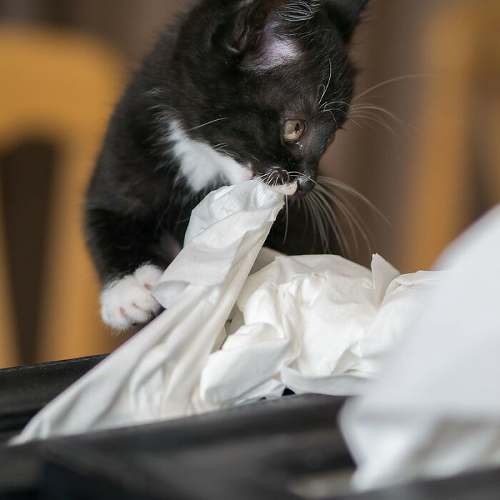 “Medical Professionals, What Is The Stupidest Misconception A Patient Has Had About The Human Body?” (30 Stories)