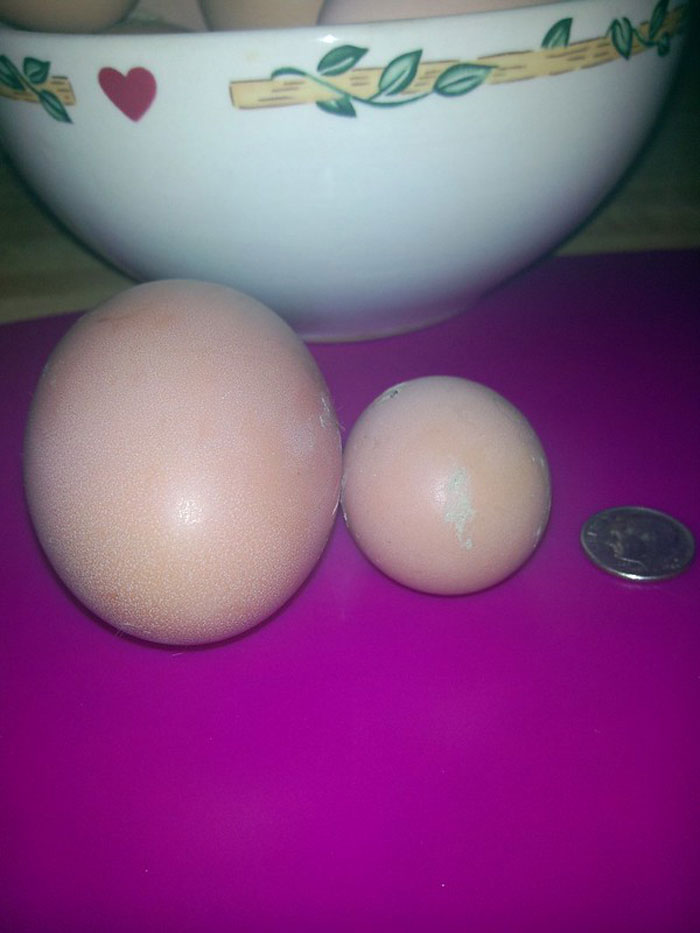 20 De los encuentros con clientes más bizarros o graciosos en esta publicación que se volvió viral