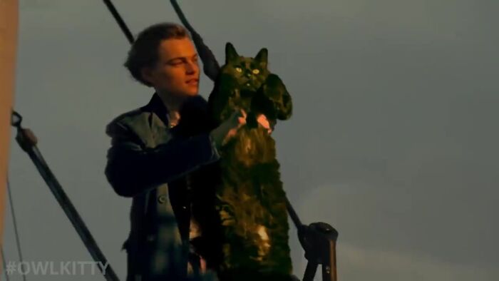 En esta versi&oacute;n mejorada de Titanic hay un gato, y el resultado es divertid&iacute;simo