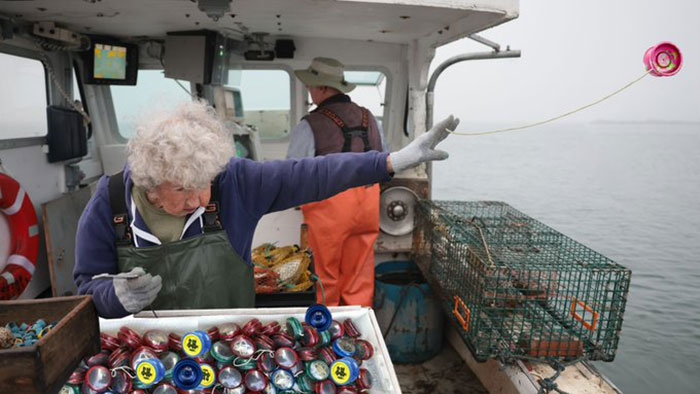 Lobster-Woman-Yeet-Memes-Twitter