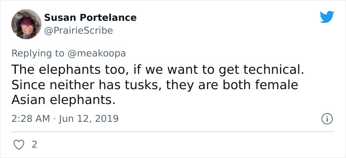 &ldquo;The Error Is Systemic To The Genre, It Seems&rdquo;: Writer Reveals How Noah&rsquo;s Ark Illustrations Frequently Have Gay Pairs Of Animals 