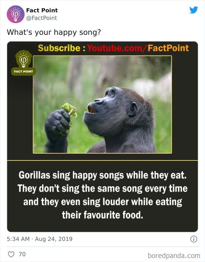 Interesting-Facts-Fact-Point