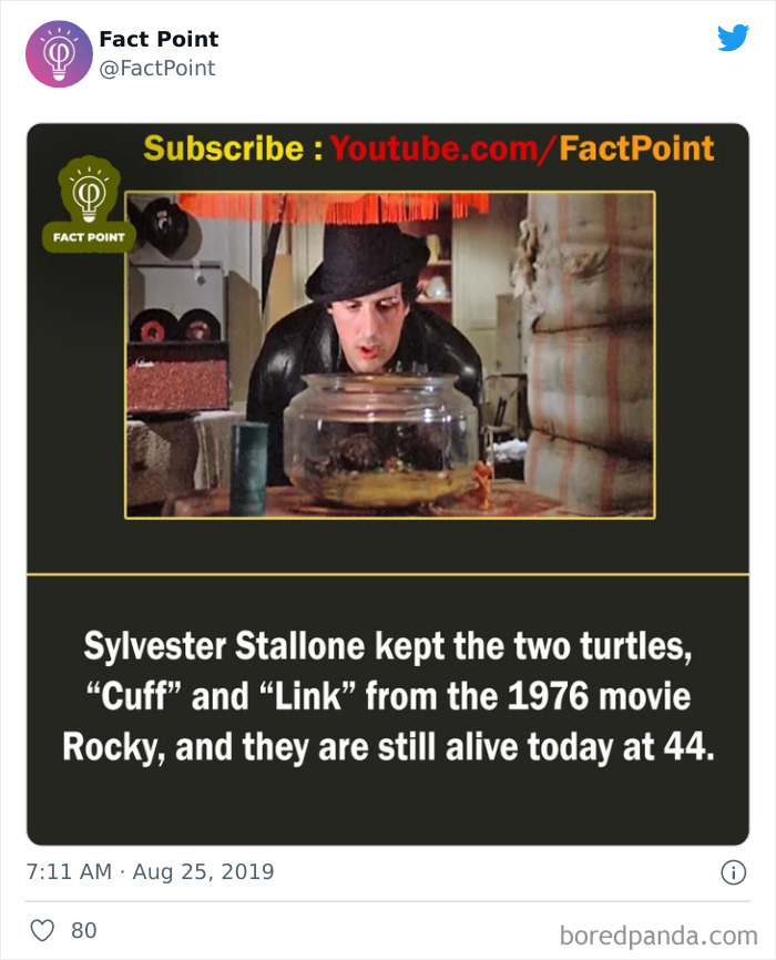 Interesting-Facts-Fact-Point