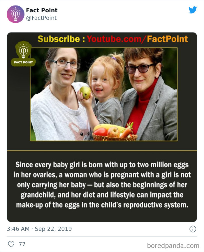 Interesting-Facts-Fact-Point