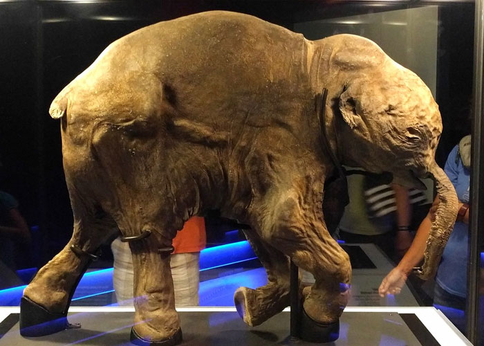 'What Is A Scientific Fact That Absolutely Blows Your Mind?': People Share 35 Incredible Facts About Our World