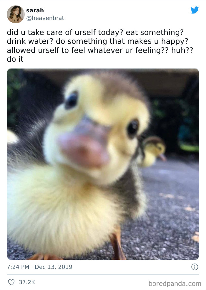 Ominous-Positivity-Jokes