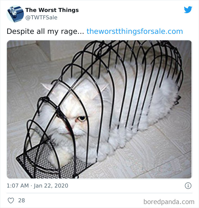 Worst-Things-Terrible-Items-For-Sale